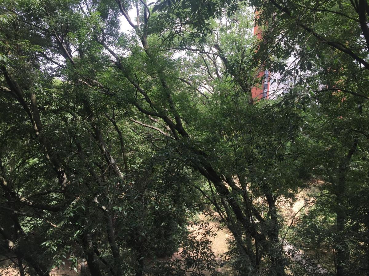 Apartment Ljiljana بلغراد المظهر الخارجي الصورة