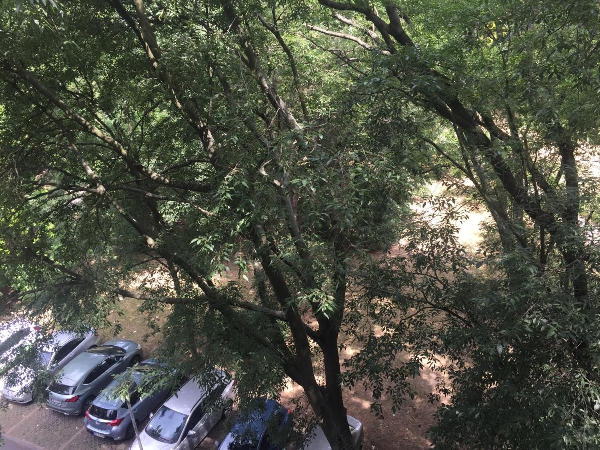 Apartment Ljiljana بلغراد المظهر الخارجي الصورة