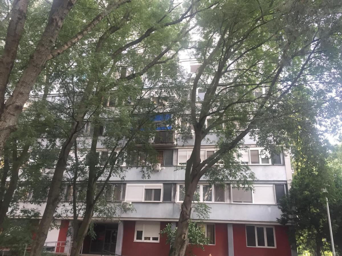Apartment Ljiljana بلغراد المظهر الخارجي الصورة